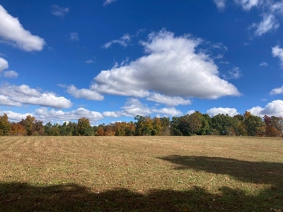 Charming 40-Acre Park-Like Setting - image 8