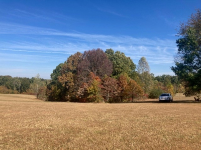 Charming 40-Acre Park-Like Setting - image 37