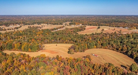 Charming 40-Acre Park-Like Setting - image 11