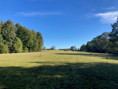 Charming 40-Acre Park-Like Setting - image 19