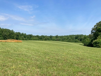 Charming 40-Acre Park-Like Setting - image 15