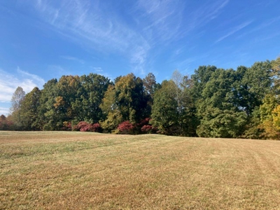Charming 40-Acre Park-Like Setting - image 5