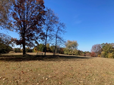 Charming 40-Acre Park-Like Setting - image 6