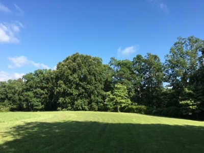 Charming 40-Acre Park-Like Setting - image 20