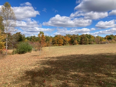 Charming 40-Acre Park-Like Setting - image 9
