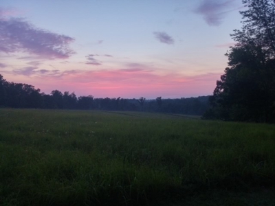 Charming 40-Acre Park-Like Setting - image 10