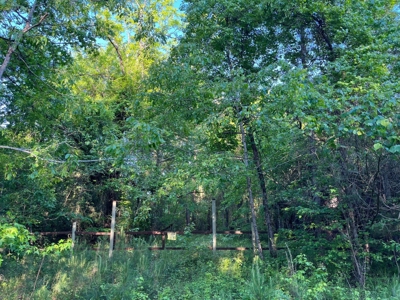 Timberland /W Utilities for Sale near Junction City, AR - image 3