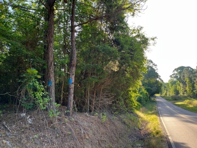 Timberland /W Utilities for Sale near Junction City, AR - image 6