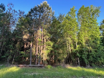 Timberland /W Utilities for Sale near Junction City, AR - image 4