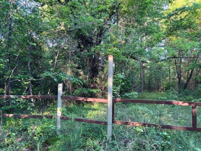 Timberland /W Utilities for Sale near Junction City, AR - image 2