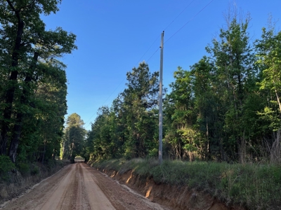 Timberland /W Utilities for Sale near Junction City, AR - image 5