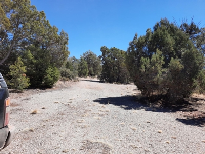 Very Secluded 37 acre off grid mountain hunting property - image 9