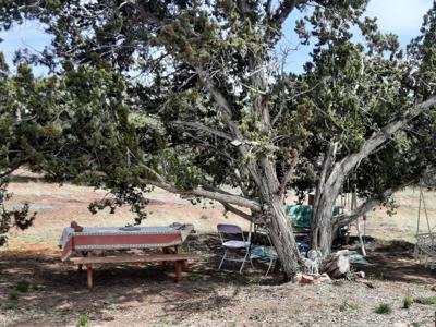 Adorable off grid Tiny Home - image 7