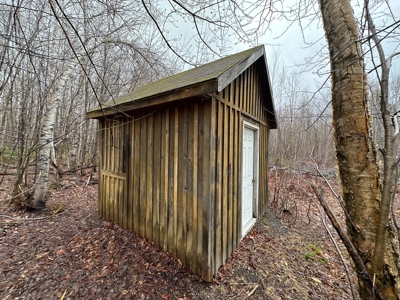 Heavily Timbered Land with Well & Septic - image 4