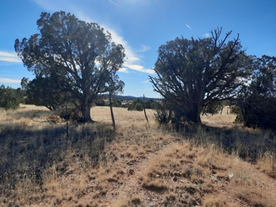 Remote off grid 13 acres property - image 3