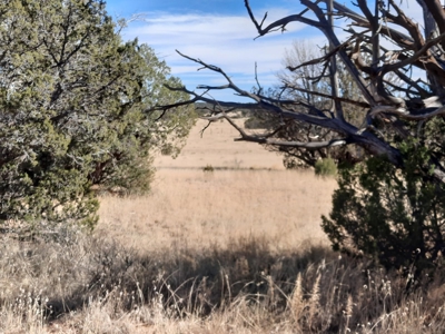 Remote off grid 13 acres property - image 8