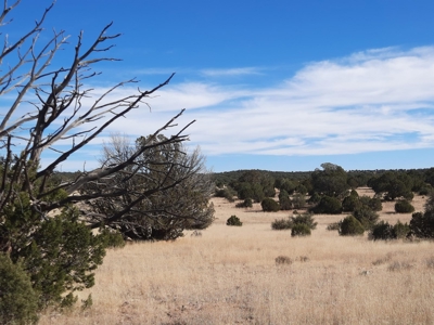 Remote off grid 13 acres property - image 7