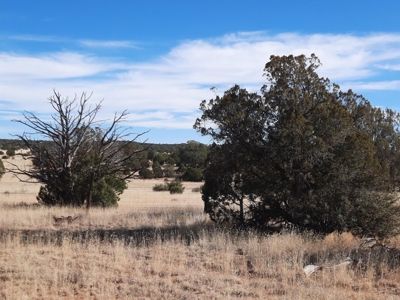 Remote off grid 13 acres property - image 5