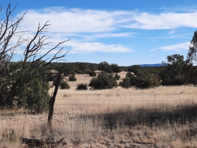 Remote off grid 13 acres property - image 6