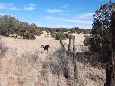 Remote off grid 13 acres property - image 9