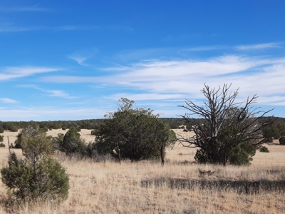 Remote off grid 13 acres property - image 4