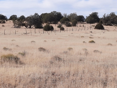 Remote off grid 13 acres property - image 10