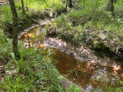 Texas Hunting and Homesite Property Atlanta Texas - image 13