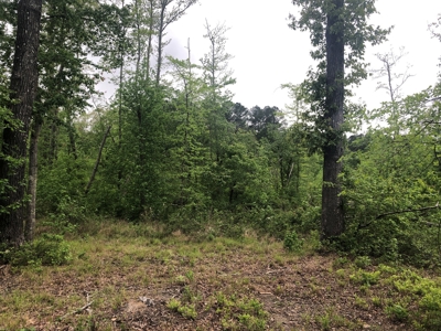 Texas Hunting and Homesite Property Atlanta Texas - image 6