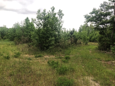 Texas Hunting and Homesite Property Atlanta Texas - image 8