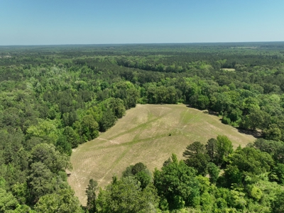 Texas Hunting and Homesite Property Atlanta Texas - image 11