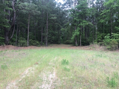 Texas Hunting and Homesite Property Atlanta Texas - image 5