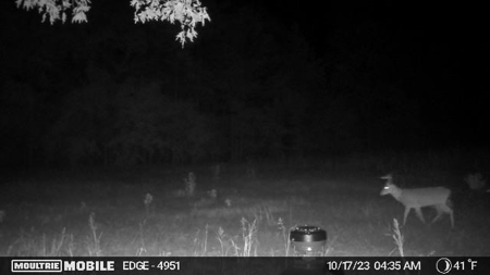 Texas Hunting and Homesite Property Atlanta Texas - image 15