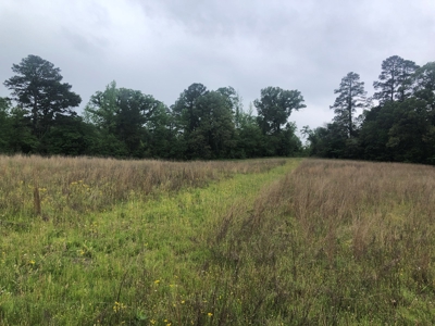 Texas Hunting and Homesite Property Atlanta Texas - image 1