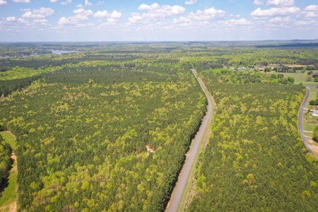 Land with Development Potential near Lexington NC - image 3