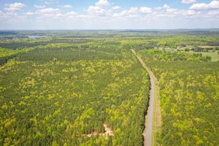 Land with Development Potential near Lexington NC - image 5