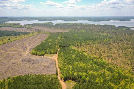 Land with Development Potential near Lexington NC - image 2