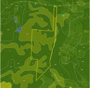 Land with Development Potential near Lexington NC - image 9