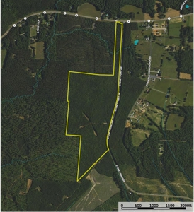 Land with Development Potential near Lexington NC - image 8