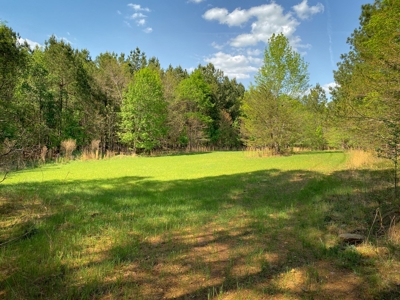 Land with Development Potential near Lexington NC - image 6