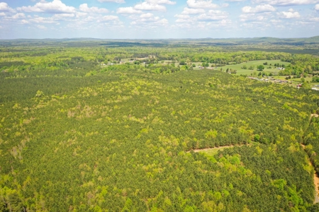 Land with Development Potential near Lexington NC - image 4