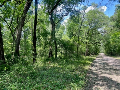 Lot On The Suwannee River In Live Oak - image 3