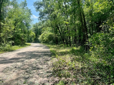 Lot On The Suwannee River In Live Oak - image 4