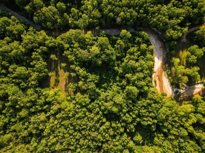 400+/- Acres with Modern Home Wilkinson County, Mississippi - image 34
