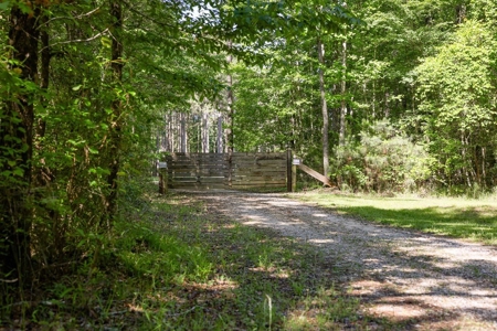 400+/- Acres with Modern Home Wilkinson County, Mississippi - image 30