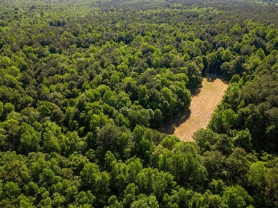400+/- Acres with Modern Home Wilkinson County, Mississippi - image 36
