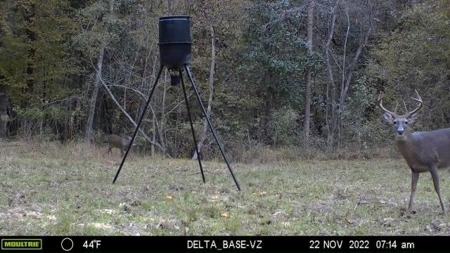400+/- Acres with Modern Home Wilkinson County, Mississippi - image 37