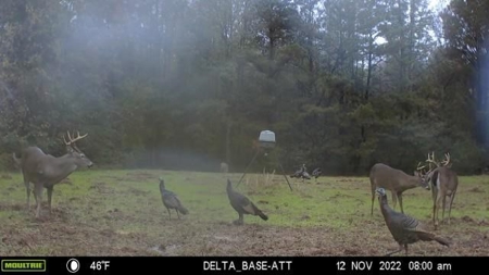 400+/- Acres with Modern Home Wilkinson County, Mississippi - image 41