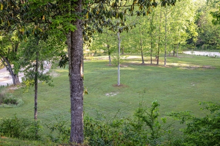 400+/- Acres with Modern Home Wilkinson County, Mississippi - image 24