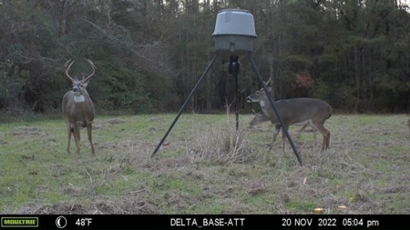400+/- Acres with Modern Home Wilkinson County, Mississippi - image 38
