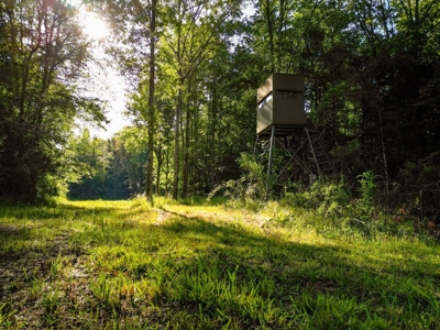 400+/- Acres with Modern Home Wilkinson County, Mississippi - image 35